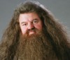 rubeus-hagrid.jpg